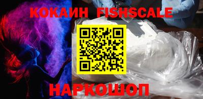 jwh Кингисепп