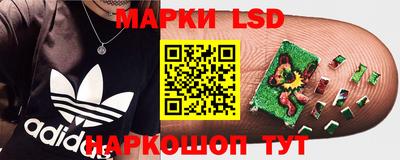 jwh Кингисепп