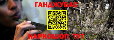 jwh Кингисепп