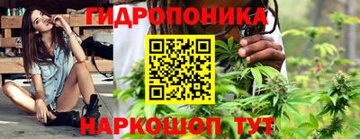 гидра Кимры