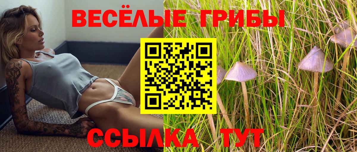Псилоцибиновые грибы Psilocybine cubensis Фрязино