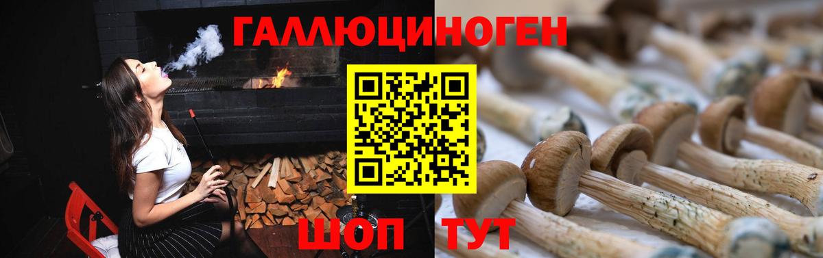Псилоцибиновые грибы MAGIC MUSHROOMS  Вход с VPN  Фрязино 